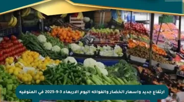 ارتفاع جديد وأسعار الخضار والفواكه اليوم الأربعاء 3-9-2025 في المنوفية
